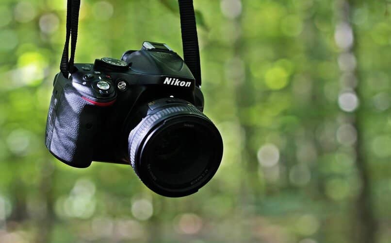 camara reflex en la naturaleza